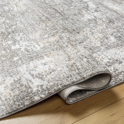 Zarraga Area Rug - Clearance