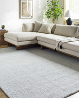 Zareh Gray Blue Solid Area Rug - Clearance