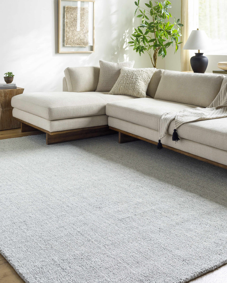 Zareh Gray Blue Solid Area Rug - Clearance