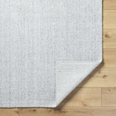 Zareh Gray Blue Solid Area Rug