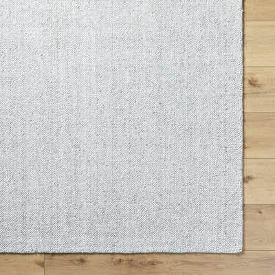 Zareh Gray Blue Solid Area Rug