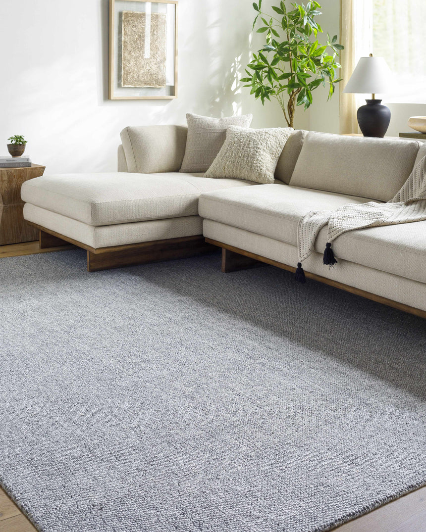 Zareh Blue Solid Area Rug - Clearance