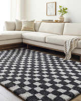 Living room with a neutral sofa and the black and silver Zveha Area Rug. Roomscene-Rectangle