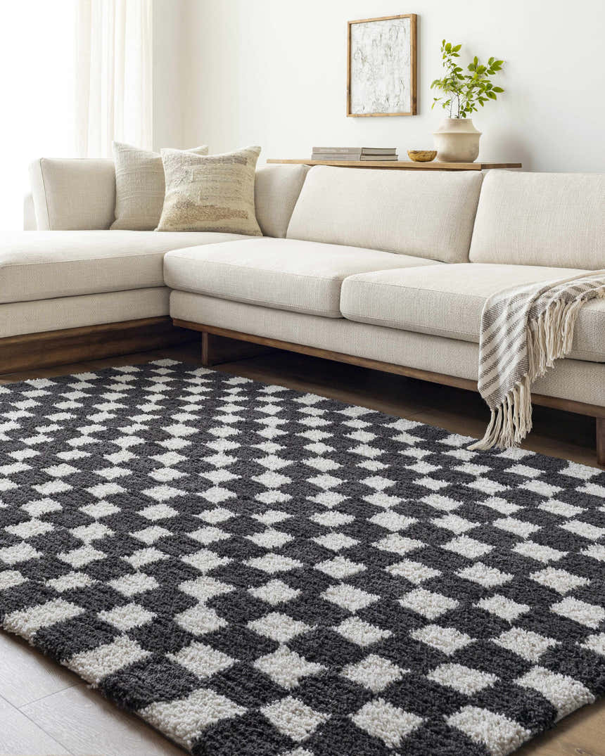 Living room with a neutral sofa and the black and silver Zveha Area Rug. Roomscene-Rectangle