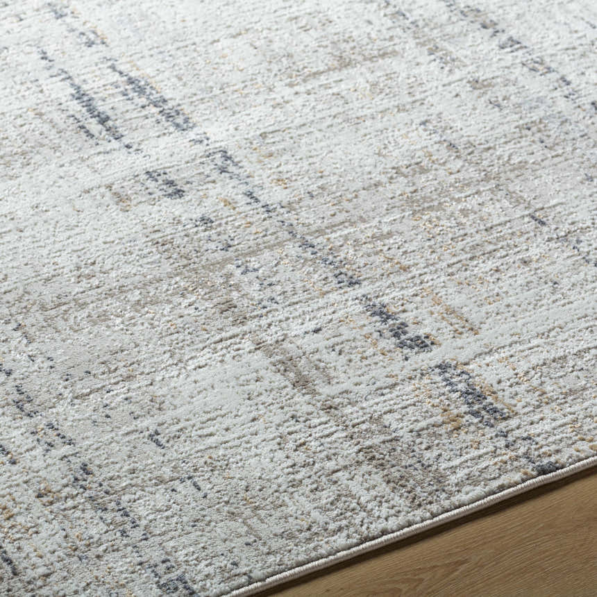 Close-up of the Zenon Area Rug showing its charcoal, light brown, gray, and white textured pattern. Texture